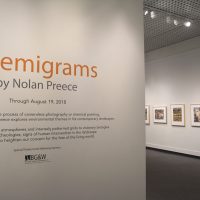 Gallery 1 - Chemigrams by Nolan Preece
