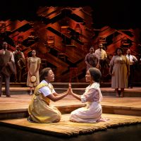 Gallery 2 - Canceled - The Color Purple
