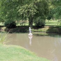 Gallery 1 - Central City Park Pond Statue