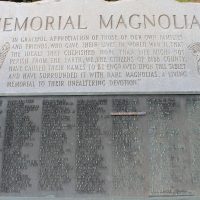 Gallery 1 - Memorial Magnolias Plaque