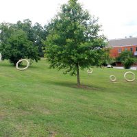 Gallery 2 - Circles in the Park