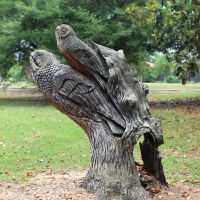 Gallery 6 - Owl Tree Carving