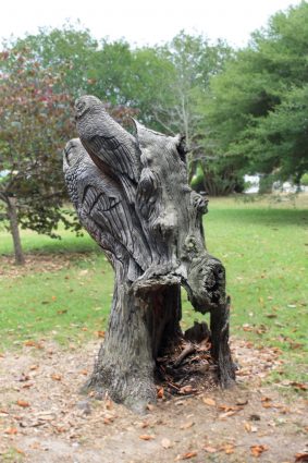 Gallery 5 - Owl Tree Carving