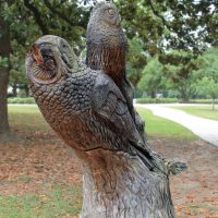 Gallery 3 - Owl Tree Carving