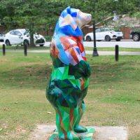Gallery 1 - Tattnall Park Bear