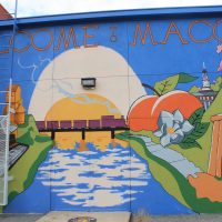 Gallery 2 - Welcome to Macon Mural