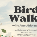 Bird Walks