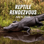 Reptile Rendezvous