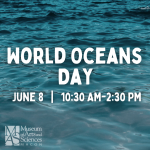 World Oceans Day at the MAS