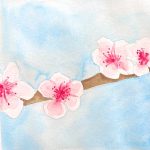 Cherry Blossom Watercolor & Wine