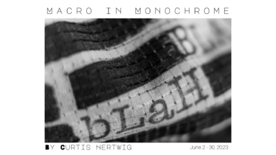 Macro in Monochrome