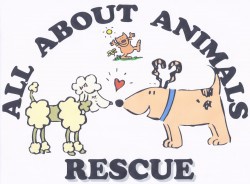 All About Animals Rescue No Kill Shelter